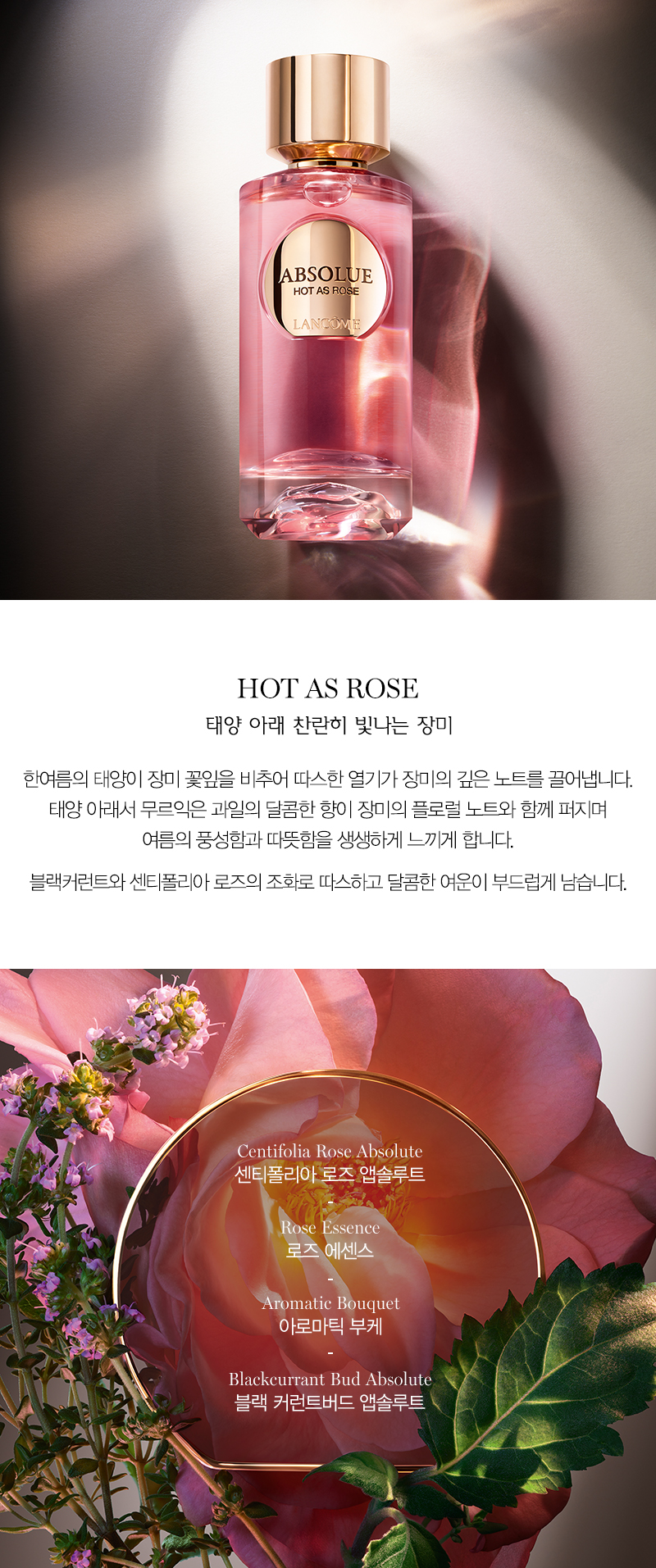 HOT AS ROSE